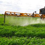 What is RoundUp?