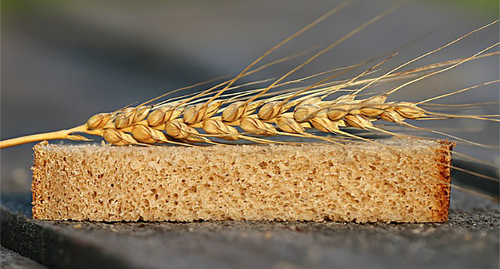 wheat stalk on slice of wheat bread