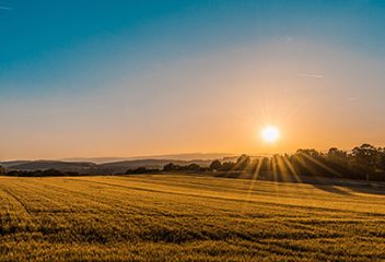 Food Future: What will it take to nourish a nation in 2050?