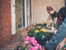 Our Agricultural Extension Service: From Gardening to Food Safety