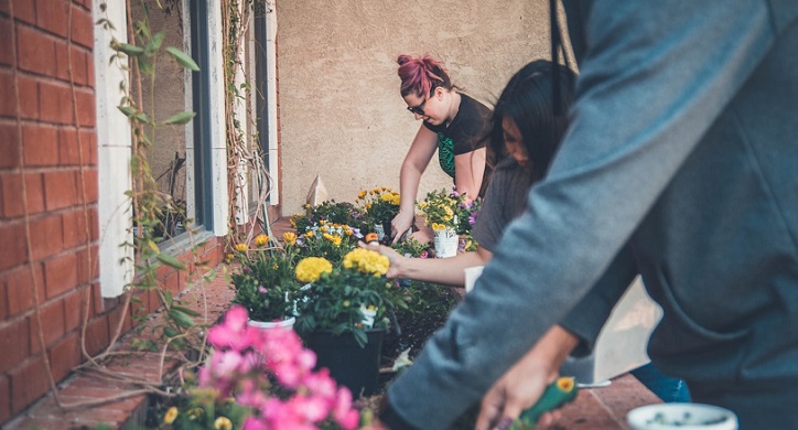 Our Agricultural Extension Service: From Gardening to Food Safety