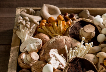Boosting Your Health with Mushrooms