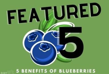 5 Benefits of Blueberries