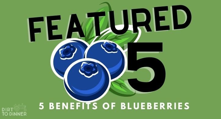 5 Benefits of Blueberries