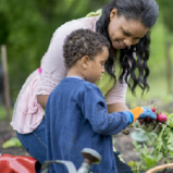 Blue Zones: Long & Healthy Living