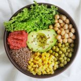 Postbiotics: You Are What You Digest