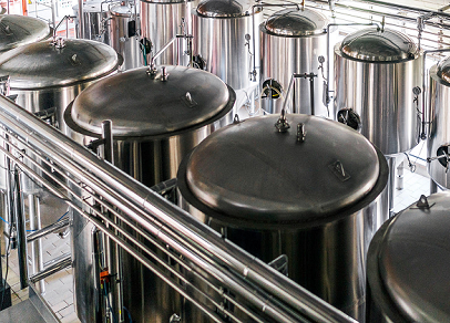 21st Century Fermentation: Disrupting More Than Our Food