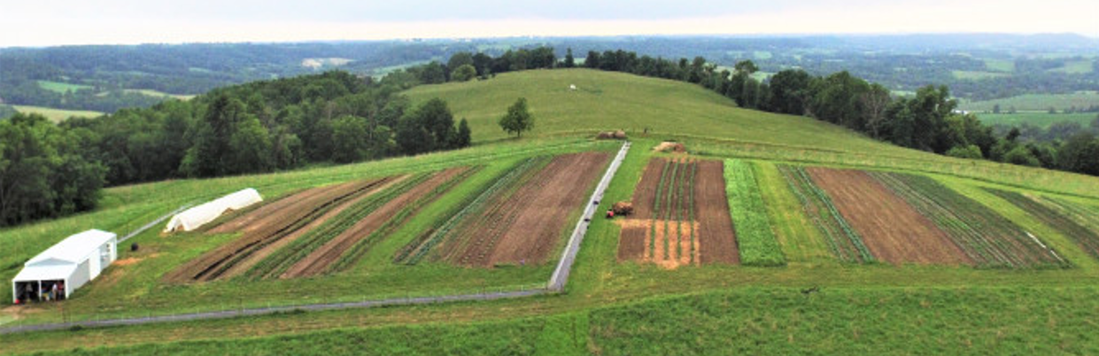 Jupiter Ridge: Regenerative Stewards of the Land - Dirt to Dinner