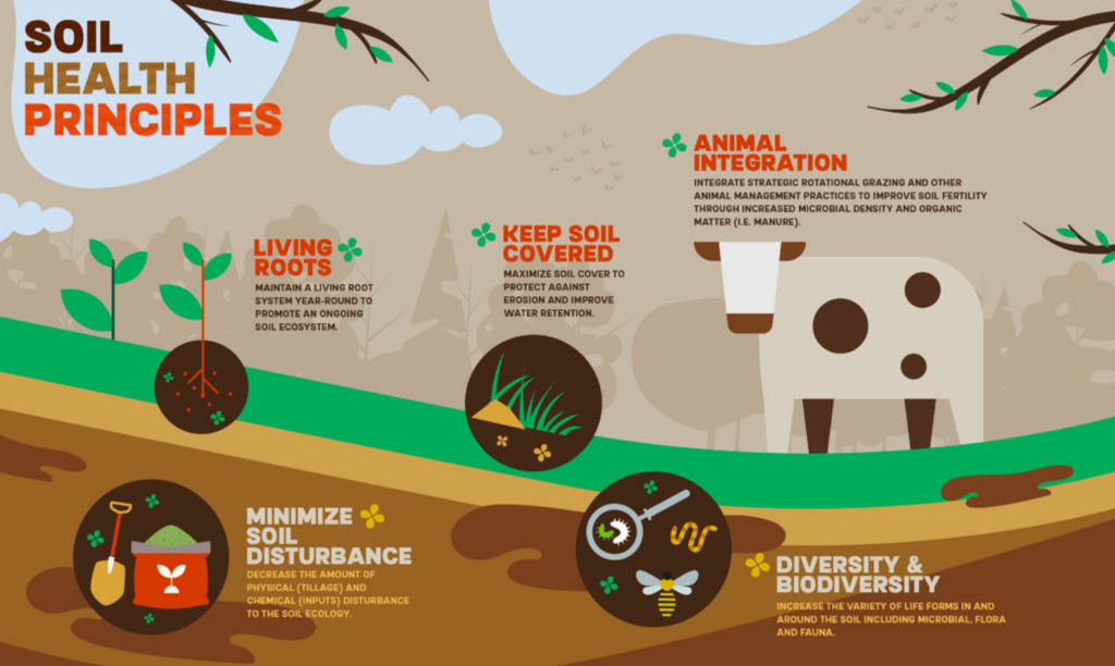 We're only as healthy as our soil - Dirt to Dinner