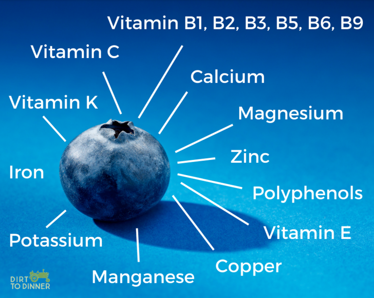 We're only as healthy as our soil Dirt to Dinner