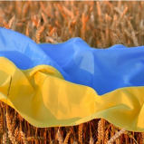 Lost at Sea: Ukraine Struggles to Revive Ag Sector