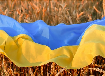 Lost at Sea: Ukraine Struggles to Revive Ag Sector