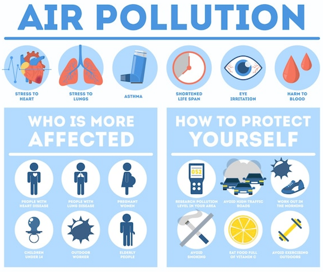 Food as Protection from Air Pollution - Dirt to Dinner